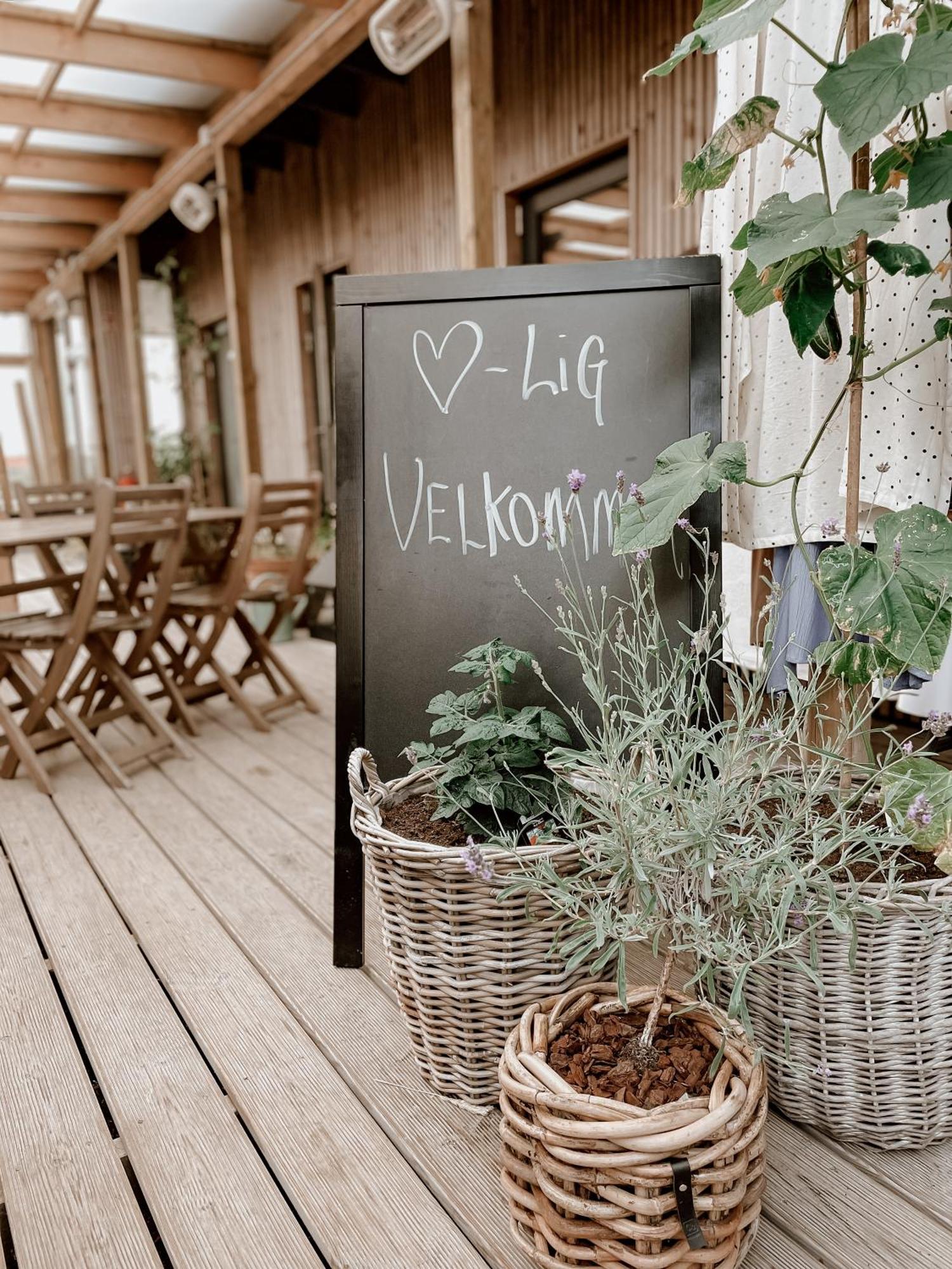Guesthouse Klitmøller מראה חיצוני תמונה